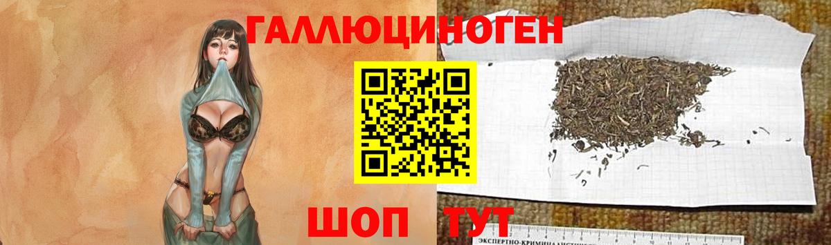 Галлюциногенные грибы прущие грибы  Вход с VPN  Ижевск 